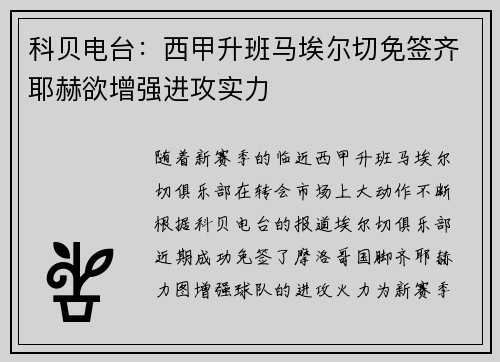 科贝电台：西甲升班马埃尔切免签齐耶赫欲增强进攻实力